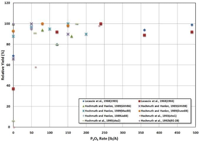Figure 7. Response of watermelon to phosphorus rate from research in Florida.
