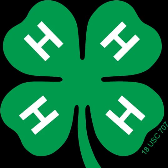 thumbnail for publication: 4-H Youth Development