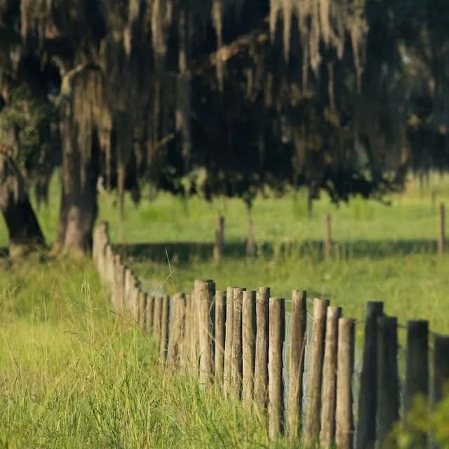 Florida Fence and Property Law handbook