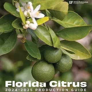 Florida Citrus Production Guide