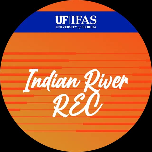 thumbnail for publication: Indian River REC