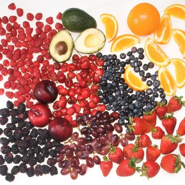 thumbnail for publication: Fruit and Nut Crops