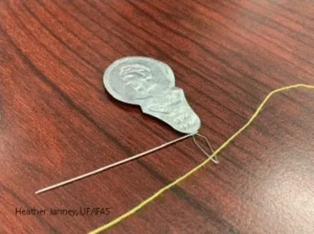 A needle threader with the metal loop through a needle's eye and the thread running through the loop.