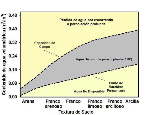 Figure 1. Relación general entre el agua disponible para la planta (ADP), la capacidad de campo, el punto de marchitez permanente, el agua no disponible y la clase de textura del suelo.