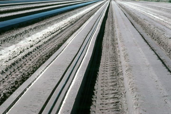 Placement of nitrogen and potassium fertilizer in bands in surface grooves for seep-irrigated, full-bed mulched tomatoes in Hillsborough County.