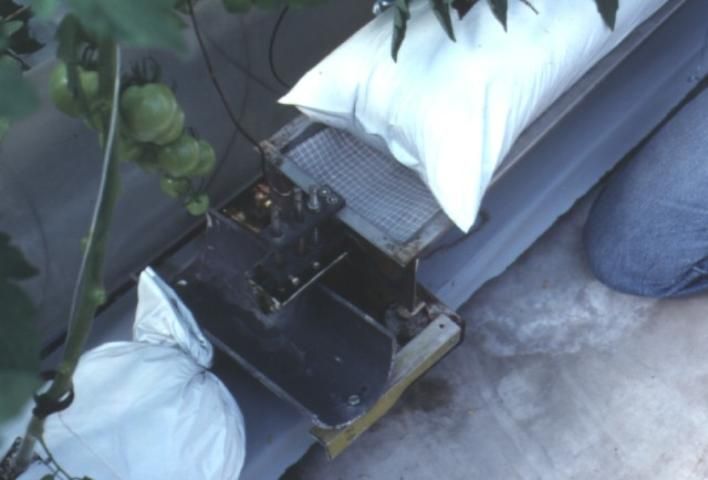Figure 5. Irrigation starter tray for perlite or rockwool production systems
