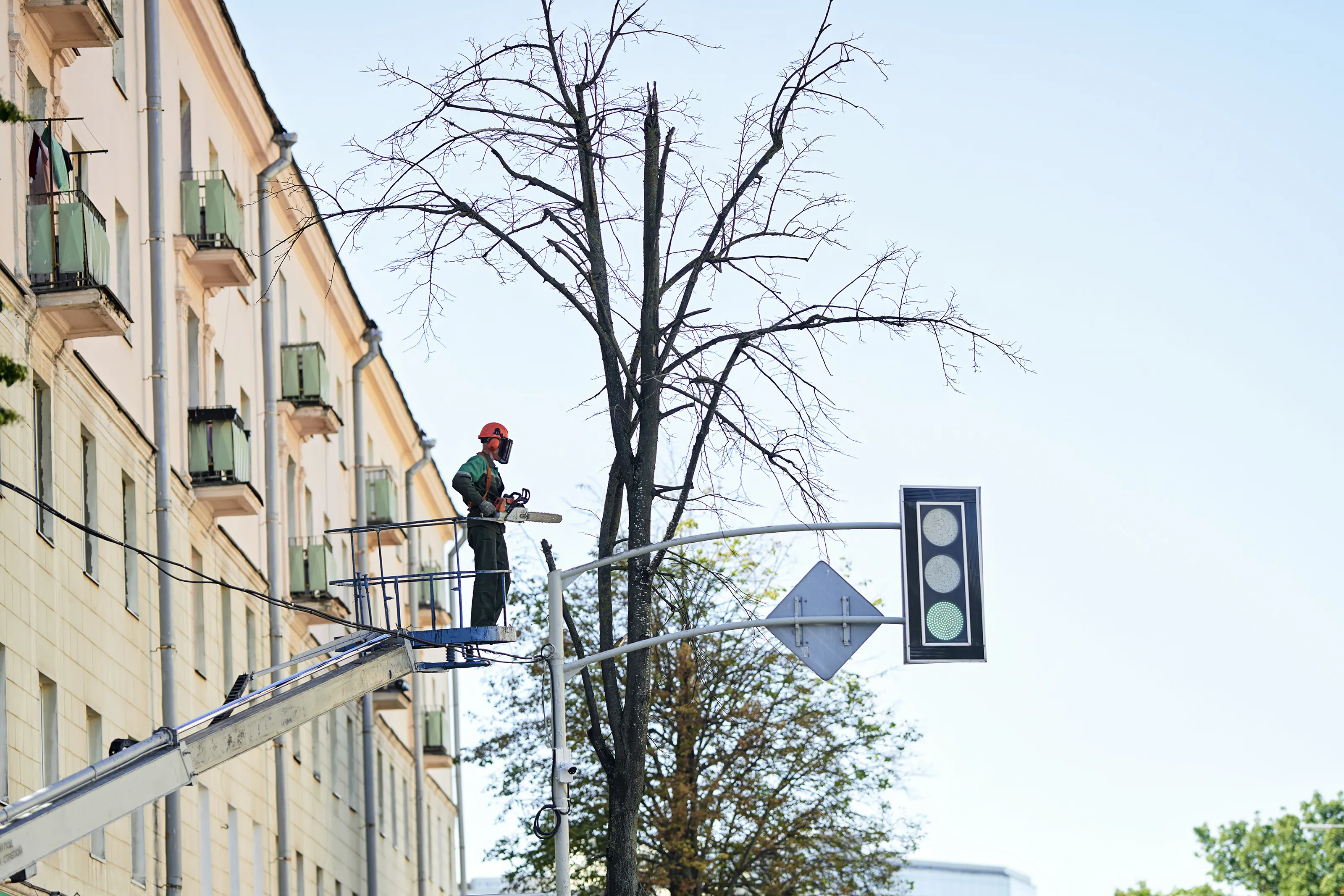 A man clad in protective equipment stands in a cherry picker holding a chainsaw. He's between a tall building and a traffic light, facing a bare-branched tree.
