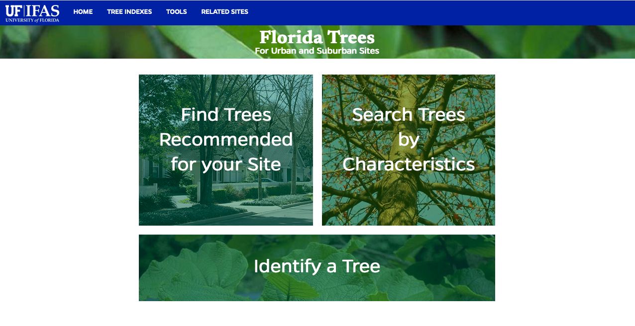 Tree Recommendation Tool page with 2023 USDA plant hardiness zone map of Florida and some neighboring states with a color-coded legend identifying each zone in the map, as well as an OK button near the bottom of the page.