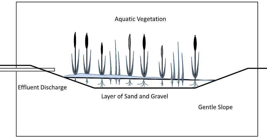Constructed wetland used in the capture of sediment, aquaculture wastes, and non-native organisms. Constructed wetlands typically have a basement sediment layer of sand and gravel to increase permeability, are heavily vegetated with wetland plants (cattails, grasses, and sedges), and have a gentle slope. These structures can vary from zero discharge to high discharge depending upon size and discharge from the aquaculture facility.