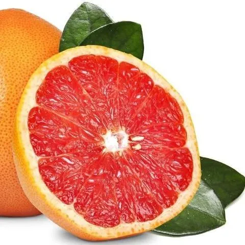Ask IFAS: Topic - Indian River Citrus Industry