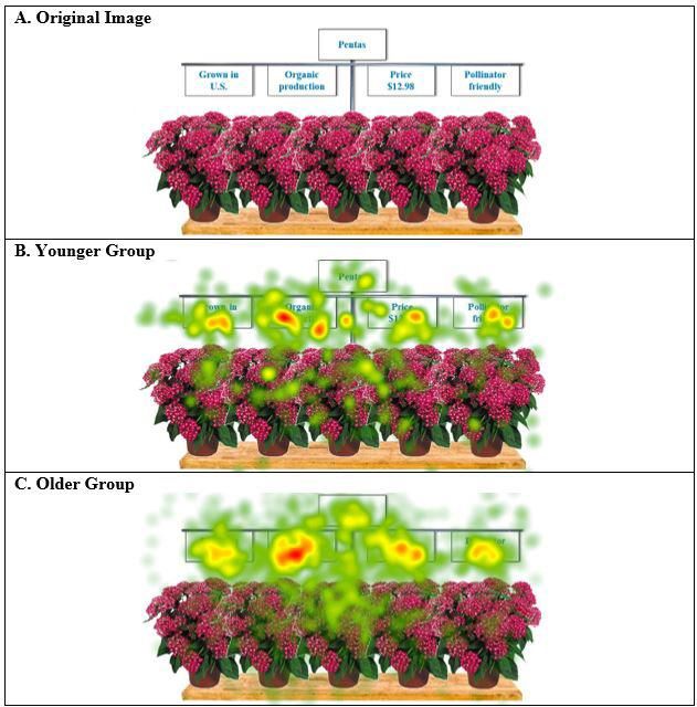 Figure 4. Heat maps demonstrating fixation concentrations on above-plant signs. Note: Color indicates fixation concentration with red corresponding to high levels, yellow intermediate, and green lower levels.