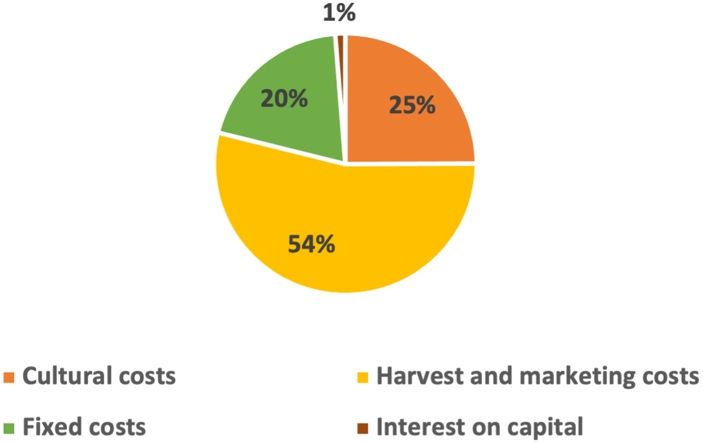 Cost structure to produce lychee in south and central Florida.