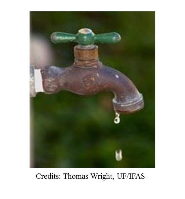 close up of a dripping faucet.