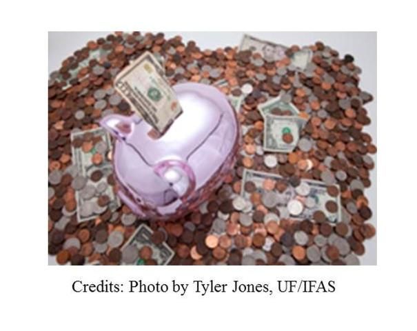 piggy bank and money