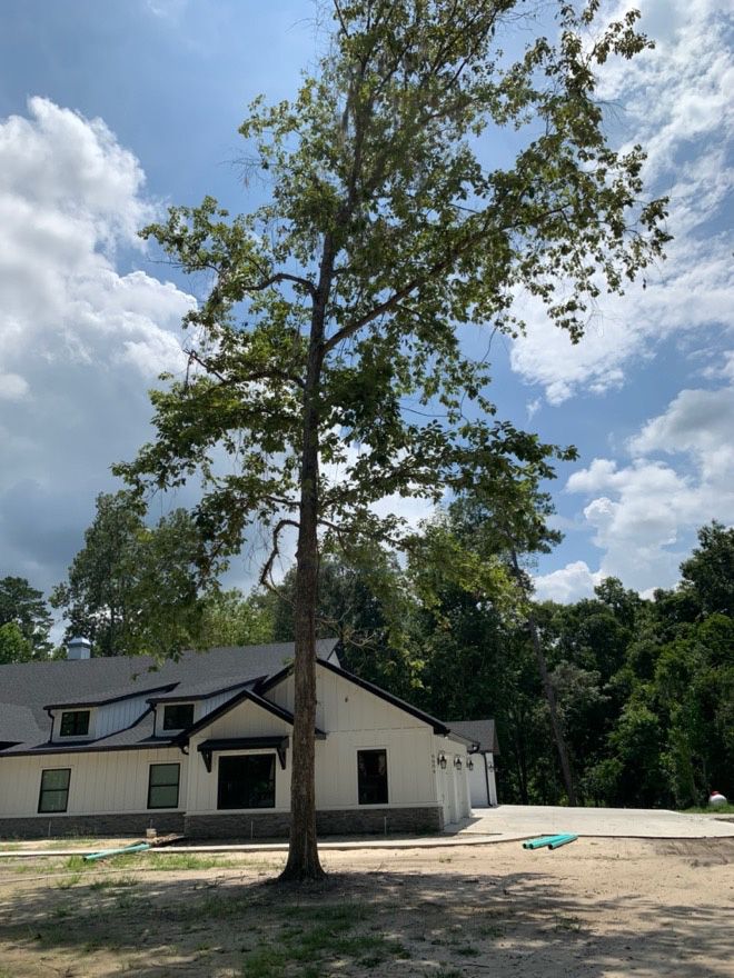 New developments can be designed to help residents live safely with fire in Florida. A home will be low risk if it is protected by breaks in the ground-level vegetation between the yard and neighboring undeveloped land. After construction, use less-flammable native plants in landscaping when possible. 