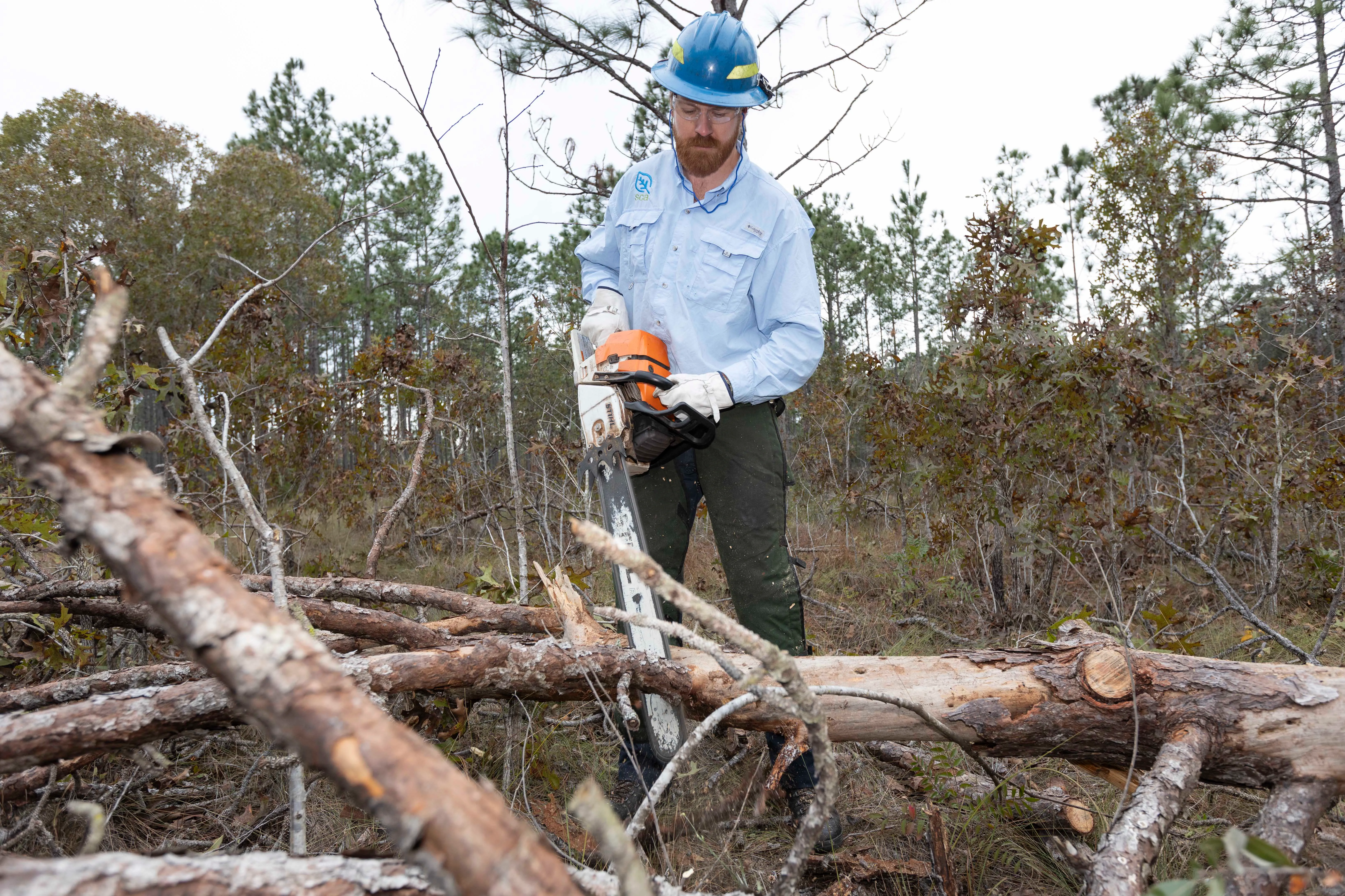 Profesional ubicado en un bosque frente a un árbol caído, usando una motosierra para cortar las ramas del suelo. Tiene la motosierra tomada con ambas manos a nivel de la cintura y usa guantes, casco y gafas protectoras.