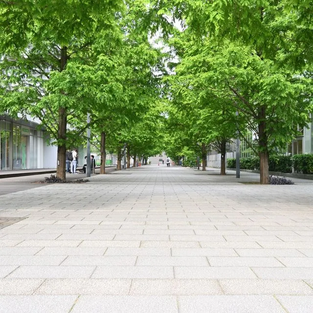 FOR 172/FR231: Urban Forest Educational Resources for Teaching Youth