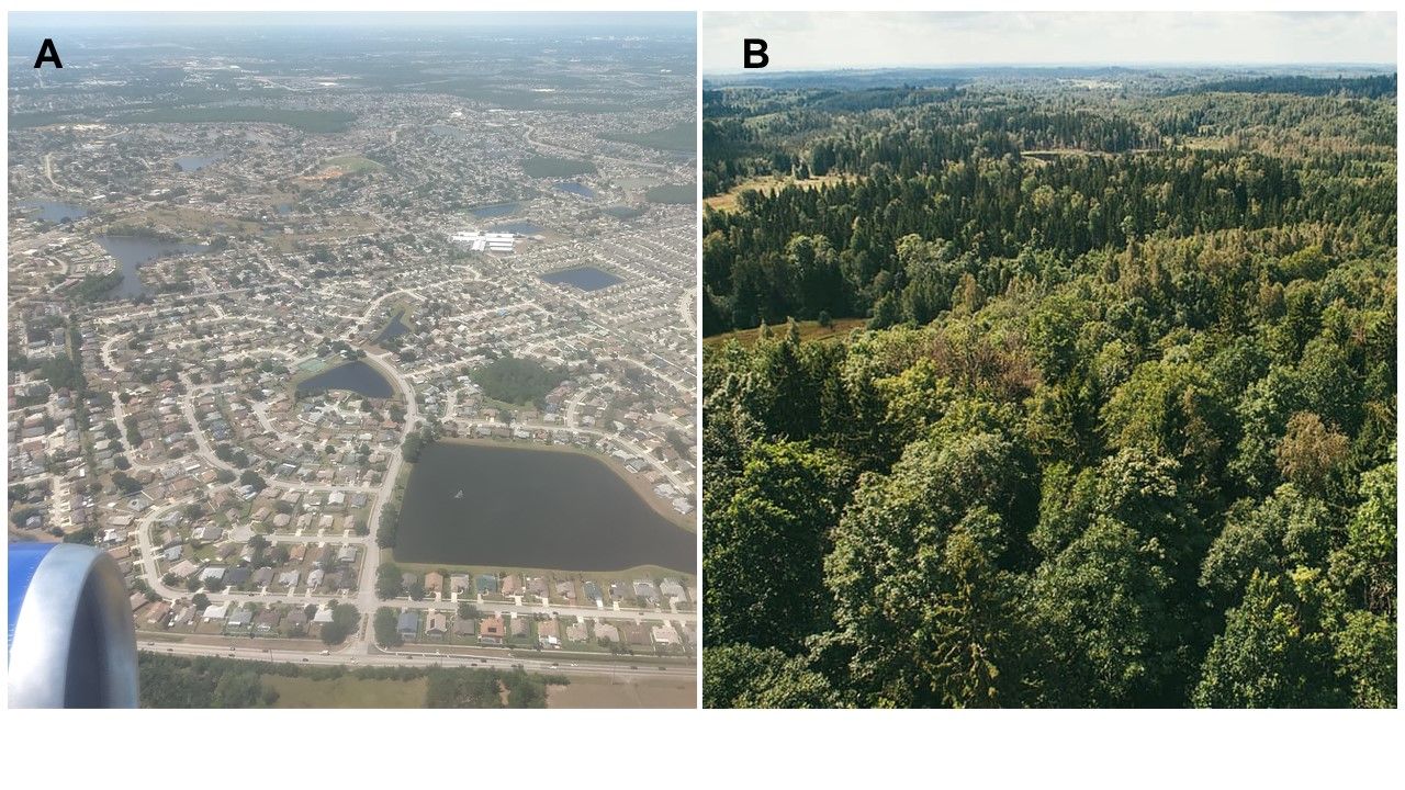 Two views of land cover, including (A) a residential landscape in southern Florida containing, housing, roads, small isolated natural areas, and engineered ponds, and (B) a natural landscape containing multiple habitat types, including forests and isolated wetlands (areas in panel B with shorter-growing vegetation). 