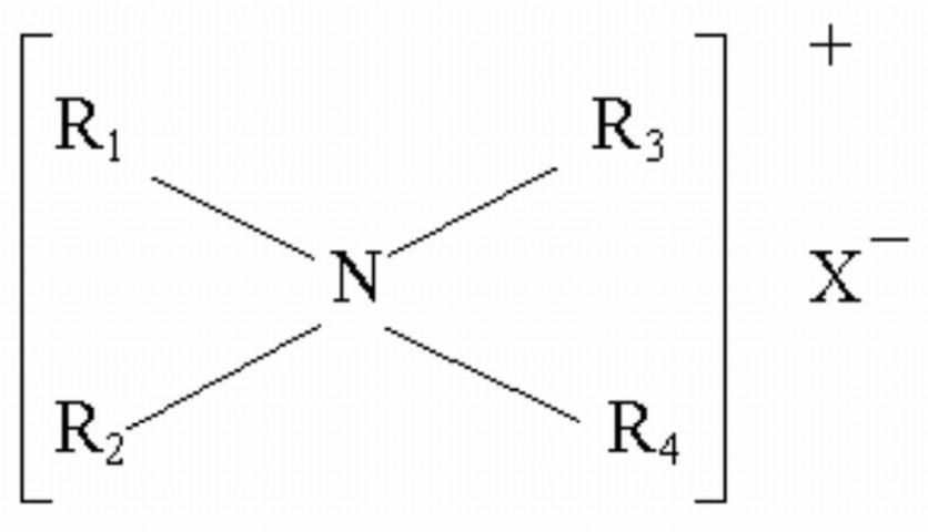 square brackets surround an arrangement with R1, R2, R3, and R4 in the corners with lines leading to N in the middle. A + in the upper right and X with superscript - in center right