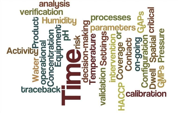 Figure 1. Word cloud, or Wordle, illustrating many words associated with HACCPs, including GAPs, GMPs, traceback, and intervention.