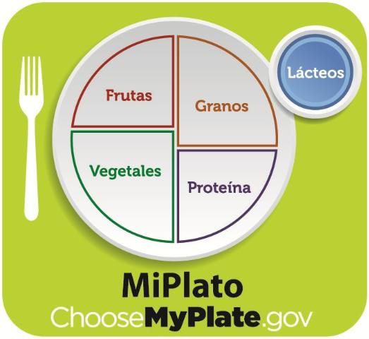 Figure 2. MiPlato grupo de los lácteos.