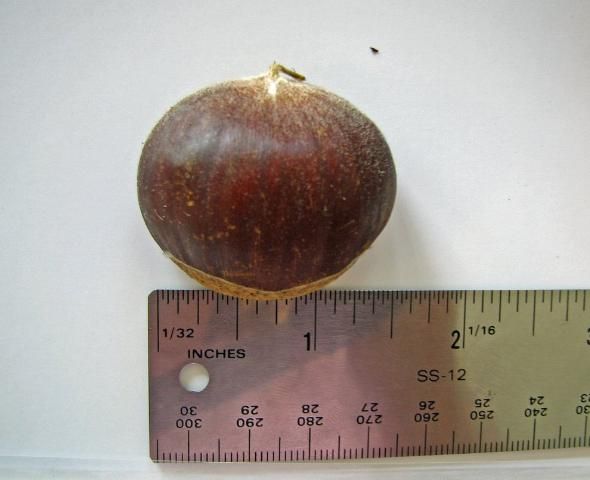 Figure 2. Customers prefer larger individual nuts.