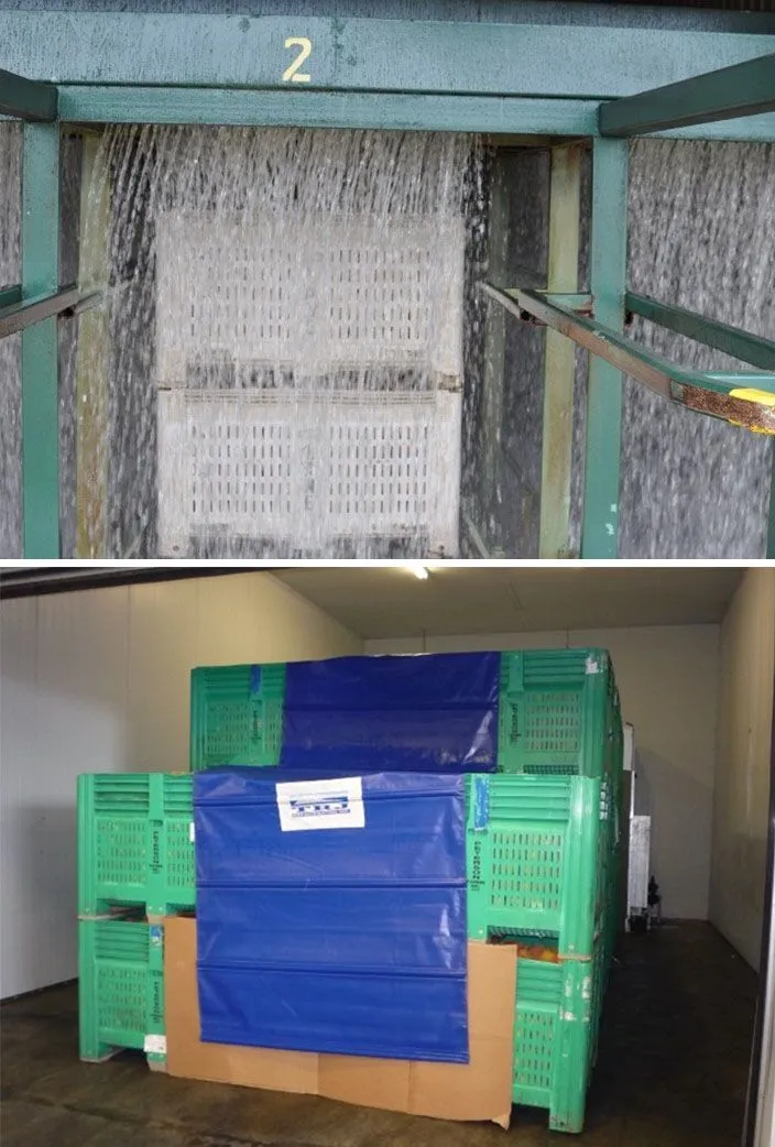 Top, a bin hydrocooler and bottom, a forced-air cooler.