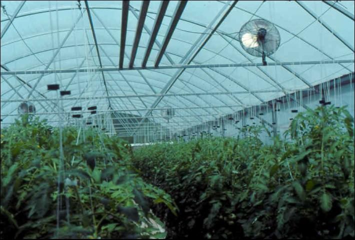 Figure 27. Horizontal air-flow fan for circulating air in greenhouse.