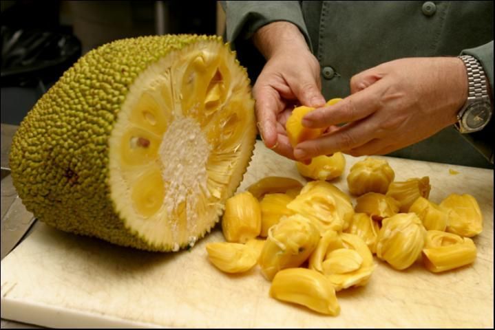 Fruta de jaca cortada por la mitad sobre una mesa, se ven unas manos que separan parte de la pulpa.