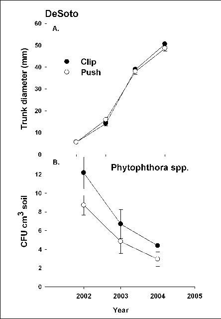 Figure 4. DeSoto County young tree replant site. *CFU cm3 = Colony Forming Units per cubic centimeter. Tree removal method – Clip = cutting the tree off above soil line; Push = removing tree and root system from soil.