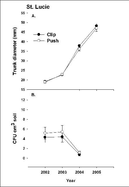 Figure 5. St. Lucie County young tree replant site. *CFU cm3 = Colony Forming Units per cubic centimeter. Tree removal method – Clip = cutting the tree off above soil line; Push = removing tree and root system from soil.