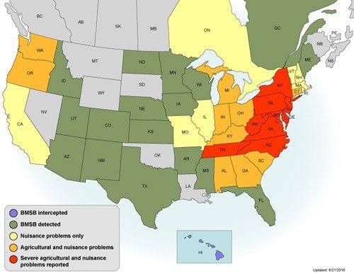 Figure 1. Distribution of the brown marmorated stink bug Halyomorpha halys (Stål) in the United States and Canada. Map generated June 21, 2016