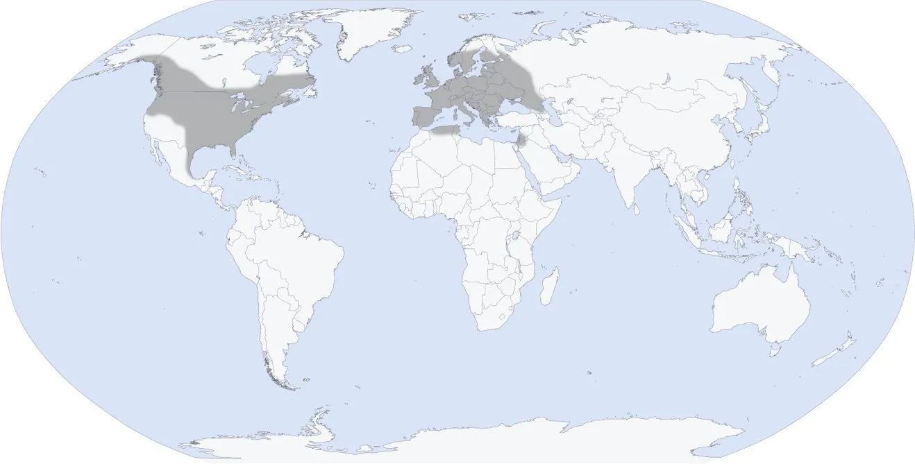 Approximate distribution of Culex territans (Walker 1856) (dark gray shading) based on records in Wilkerson et al. 2021.
