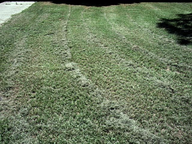 Figure 4. Excess clippings.