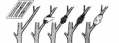 Figure described in nearby text.