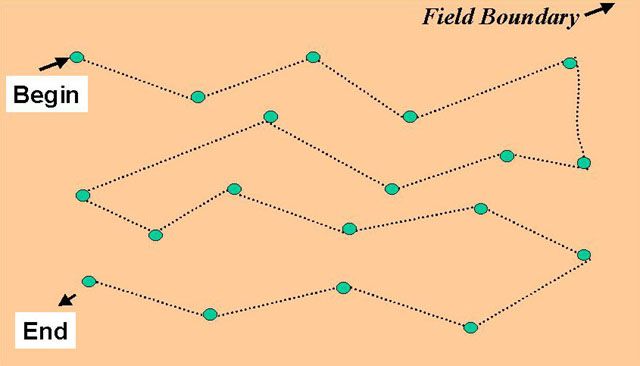 Figure 5. Suggested strategy for collecting preplant soil samples for nematode analysis based on compositing soil from 10–20 field locations.
