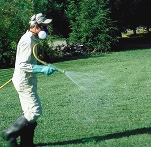 Figure 18. Pant legs should be outside of the boots, not inside as shown here, to prevent pesticide from running down into the boots.