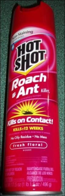 Figure 9. Ready-to-use aerosol insecticide.