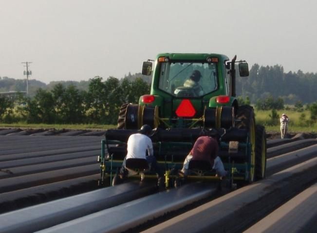 Figure 23. Soil fumigant application.