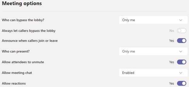 Screenshot of the Meeting Options window