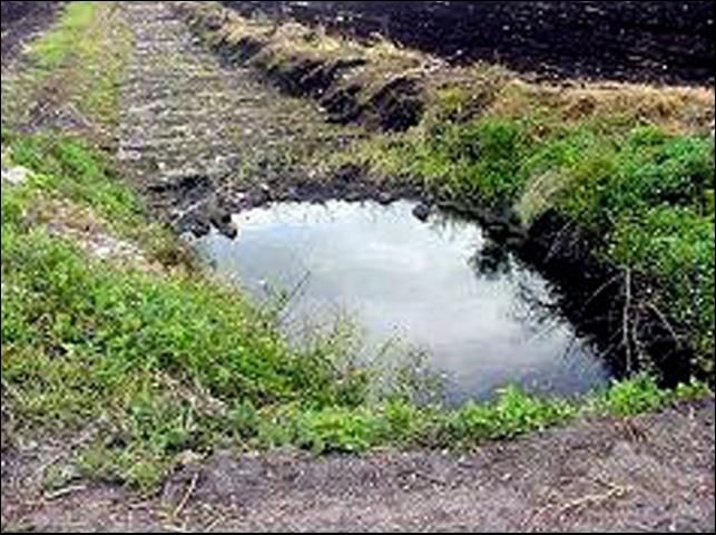 Figure 11. Weed booms (a) and trash racks (b) keep aquatic weeds from drainage pumps.