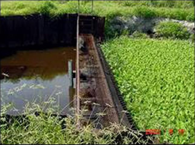 Weed booms (a) and trash racks (b) keep aquatic weeds from drainage pumps.
