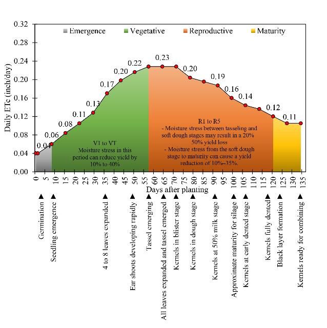 Figure 6. Corn crop water use (inch/day).