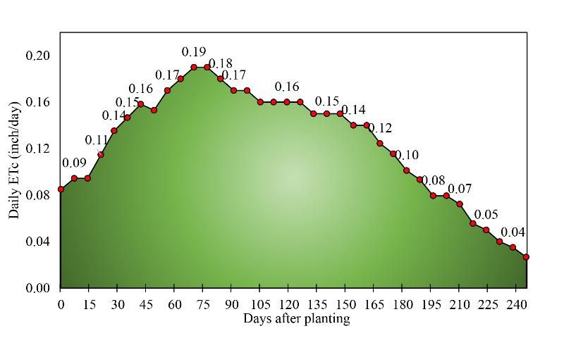 Figure 2. Bermudagrass crop water use (inches/day).