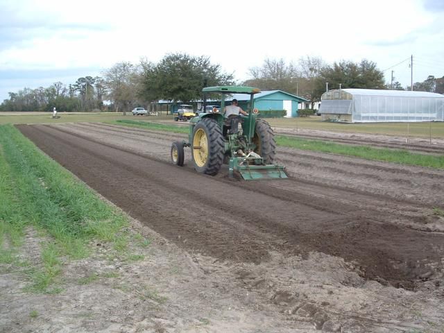 Figure 10. Incorporating manure in the beds for vegetable production.