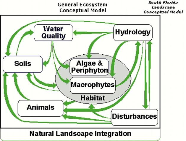 Figure 3. South Florida landscape conceptual model.