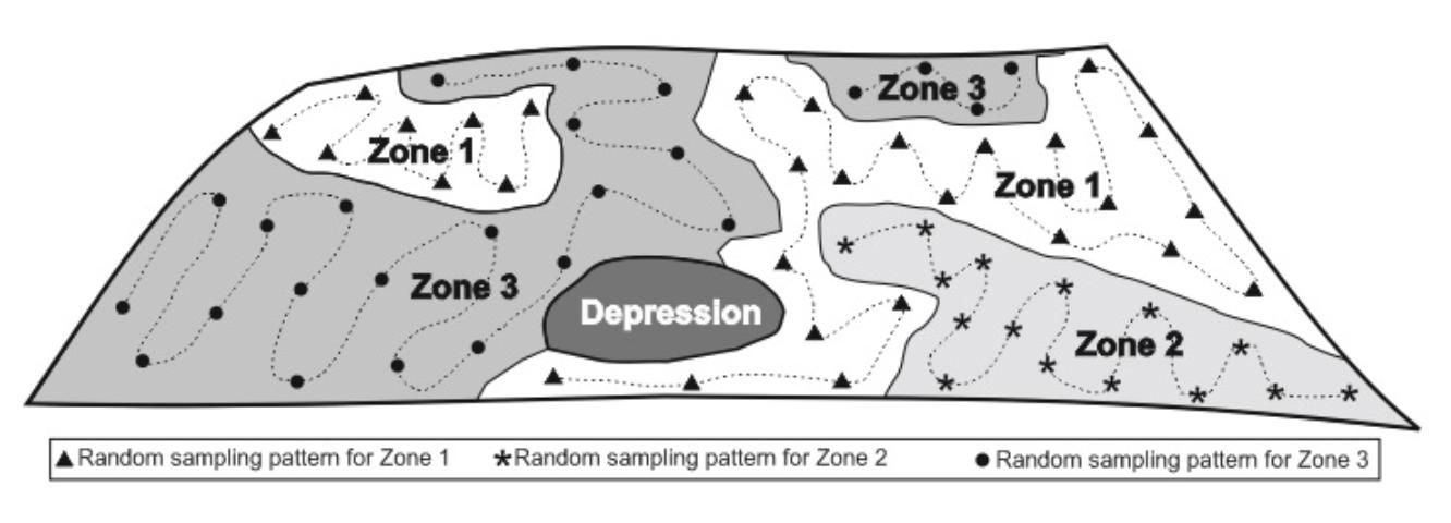 Figure 1. Scheme illustrating random soil sampling on a commercial agricultural farm or a landscape.