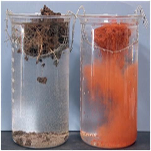 Figure 3. Testing soil aggregate stability.