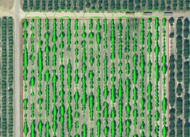 Figure 2. Map of citrus tree canopy volume.