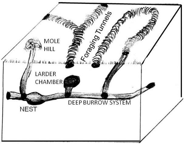 Figure 3. 